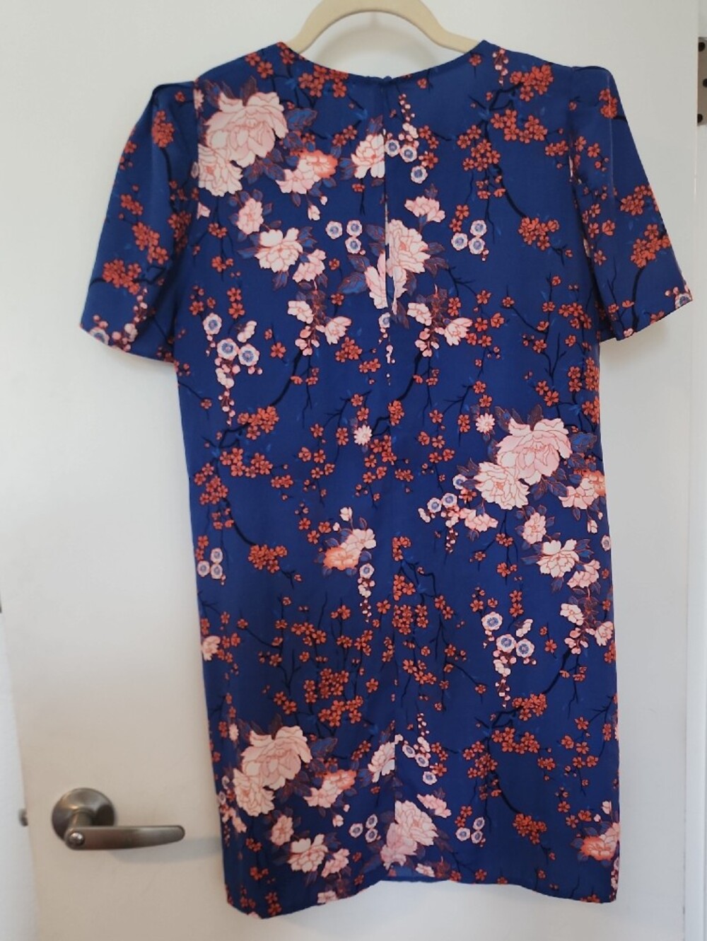 Forever 21 Blue Floral Mini Dress with Red And White Blooms - Picture 2 of 6